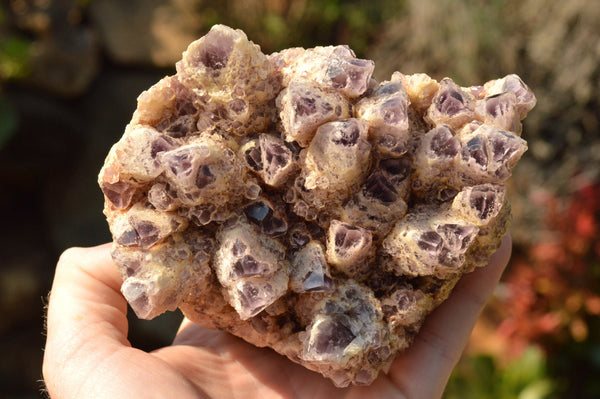 Natural Sugar Amethyst Quartz Clusters  x 2 From Solwezi, Zambia - TopRock