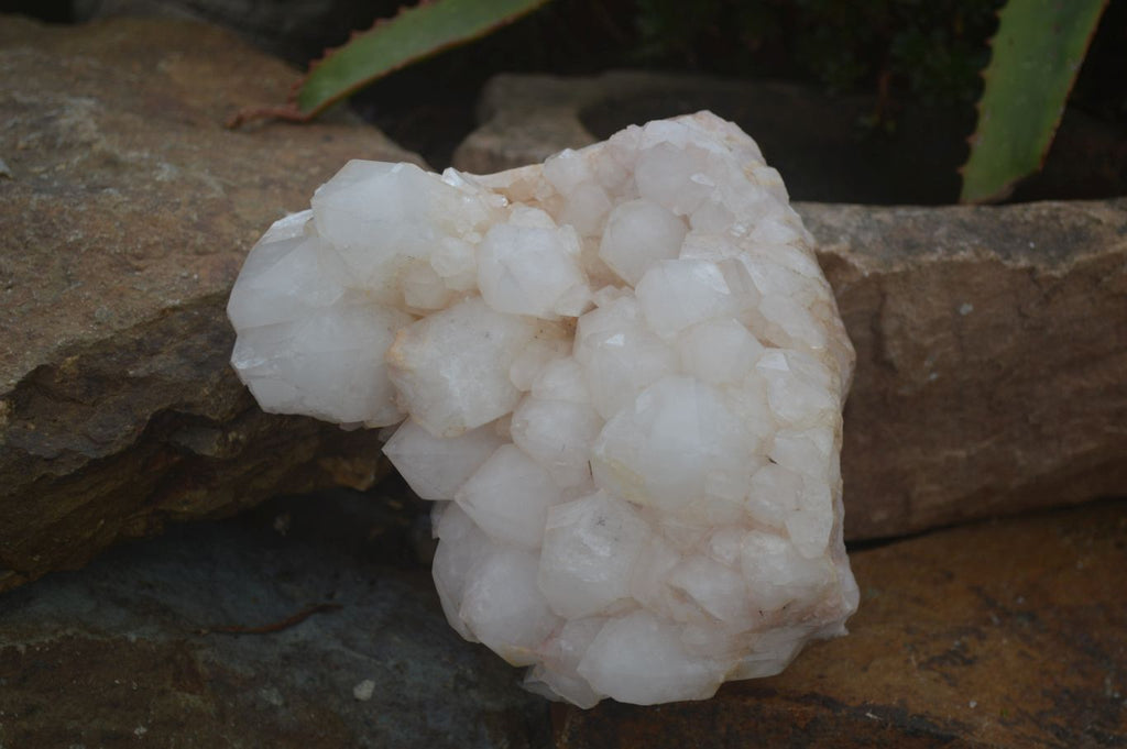 Natural Large White Quartz Clusters  x 2 From Madagascar - Toprock Gemstones and Minerals 