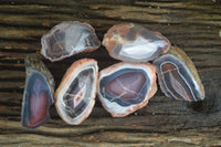Polished Banded River Agate Nodules  x 6 From Sashe River, Zimbabwe - Toprock Gemstones and Minerals 