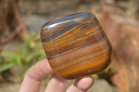 Polished Golden Tigers Eye Free Forms x 6 From Prieska, South Africa - Toprock Gemstones and Minerals 