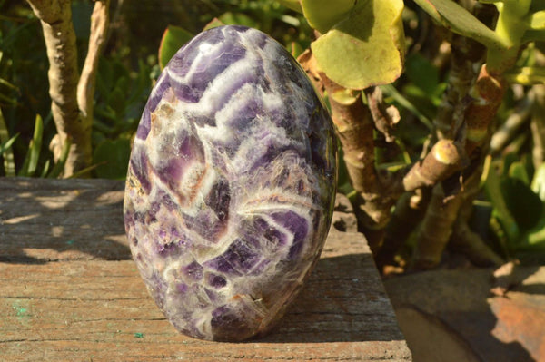 Polished Chevron Flower Amethyst Standing Free Form x 1 From Zambia - TopRock
