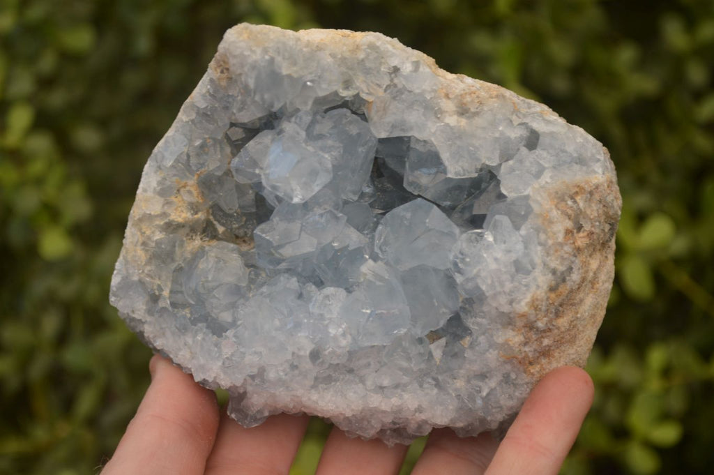 Natural Blue Celestite Crystal Specimens  x 2 From Sakoany, Madagascar - Toprock Gemstones and Minerals 