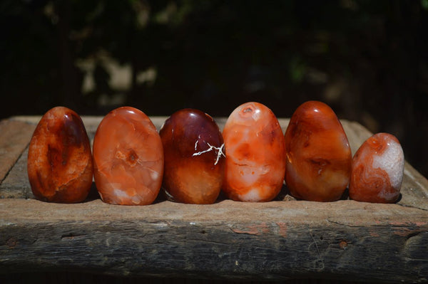 Polished Carnelian Agate Standing Free Forms  x 12 From Madagascar - Toprock Gemstones and Minerals 