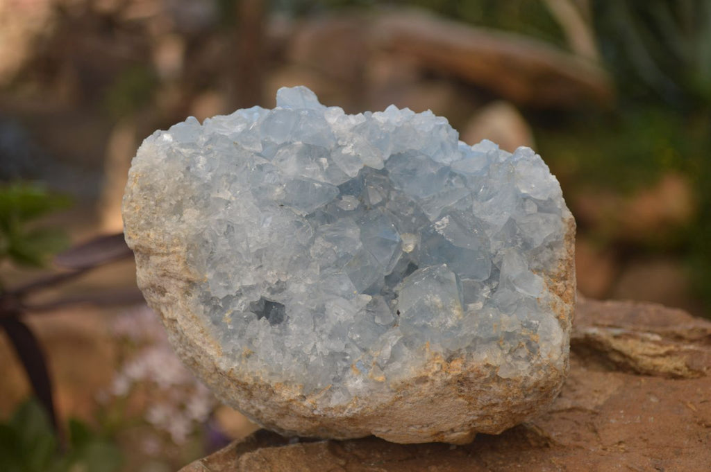 Natural Blue Celestite Crystal Specimens  x 2 From Sakoany, Madagascar - Toprock Gemstones and Minerals 