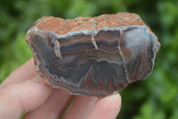 Polished Banded River Agate Nodules  x 6 From Sashe River, Zimbabwe - Toprock Gemstones and Minerals 