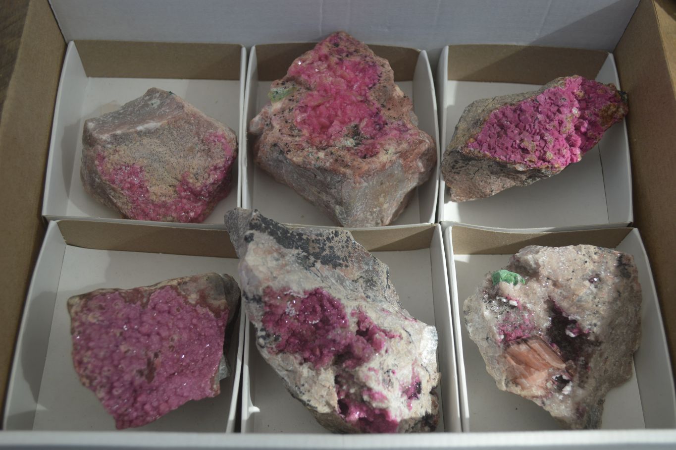 Natural Pink Salrose Cobaltion Dolomite Specimens  x 6 From Kakanda, Congo - Toprock Gemstones and Minerals 