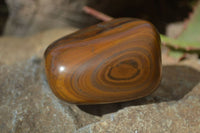Polished Golden Tigers Eye Free Forms x 4 From Prieska, Northern Cape