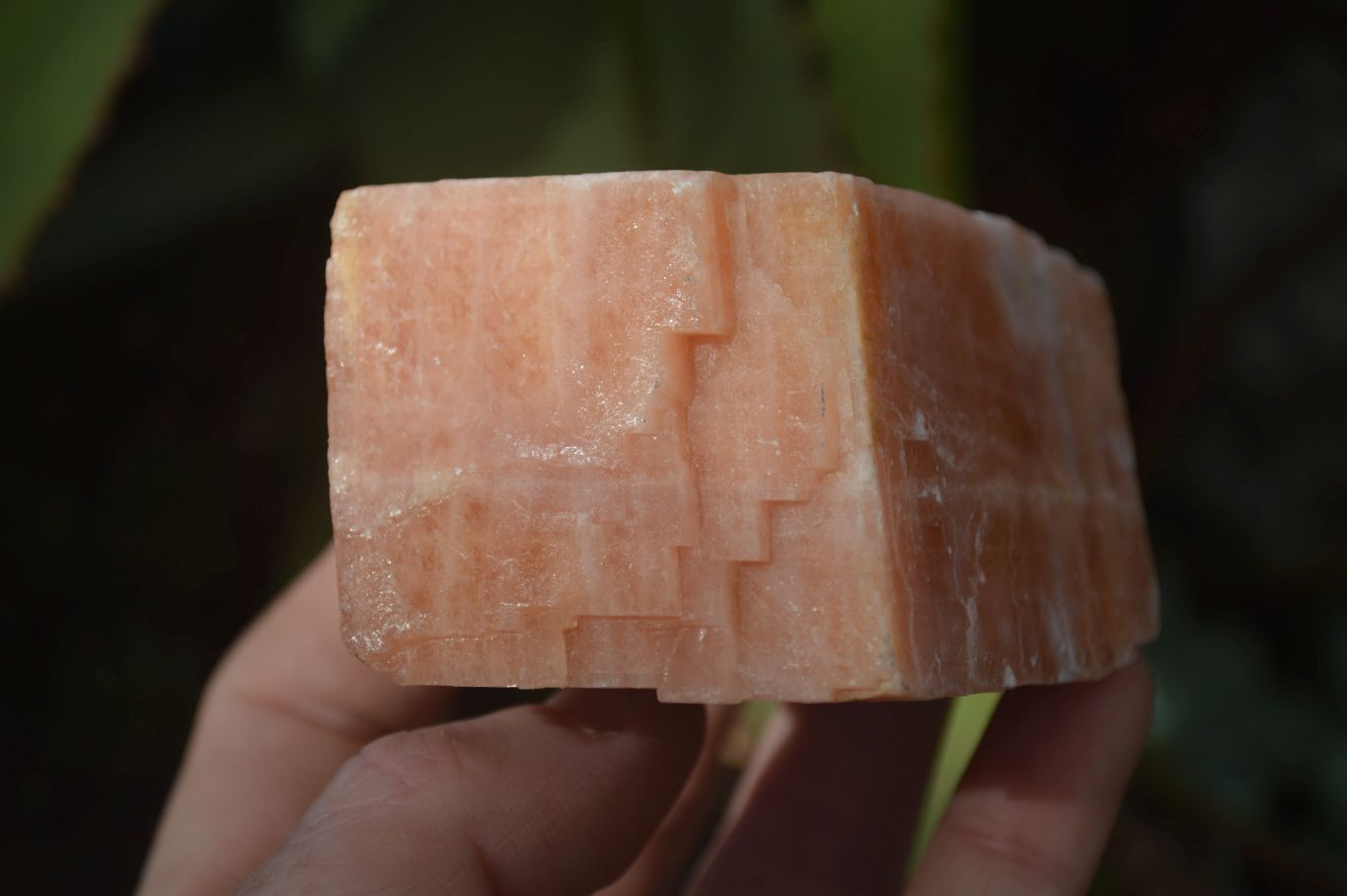 Natural New Sunset Orange Calcite Specimens x 12 From Spitzkop, Namibia - Toprock Gemstones and Minerals 