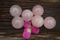 Polished Star Rose Quartz Spheres x 6 From Ambatondrazaka, Madagascar - TopRock