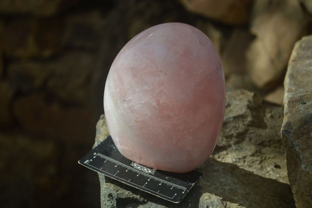 Polished Pink Rose Quartz Standing Free Forms x 2 From Antsirabe, Madagascar - Toprock Gemstones and Minerals 