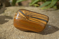 Polished Golden Tigers Eye Free Forms x 6 From Prieska, South Africa - Toprock Gemstones and Minerals 