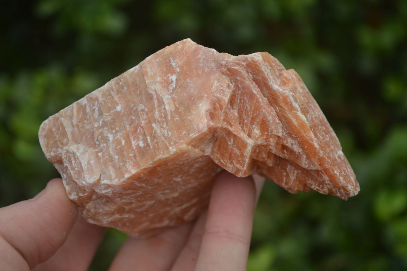 Natural New Sunset Orange Calcite Specimens x 12 From Spitzkop, Namibia - Toprock Gemstones and Minerals 