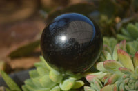 Polished  Schorl Black Tourmaline Spheres x 6 From Madagascar - Toprock Gemstones and Minerals 