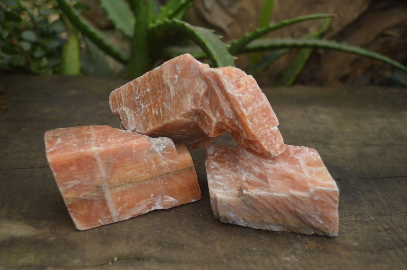 Natural New Sunset Orange Calcite Specimens x 12 From Spitzkop, Namibia - Toprock Gemstones and Minerals 