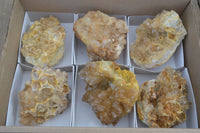 Natural Limonite Quartz Clusters x 6 From Solwezi, Zambia - Toprock Gemstones and Minerals 