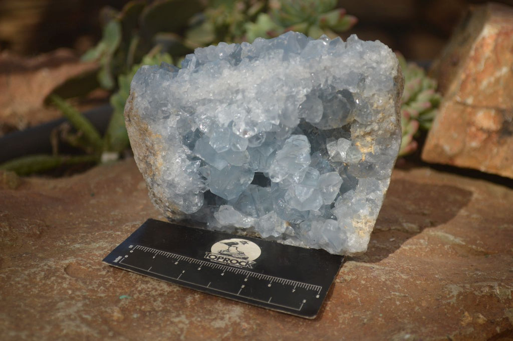 Natural Blue Celestite Crystal Specimens  x 2 From Sakoany, Madagascar - Toprock Gemstones and Minerals 