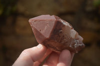 Natural Red Hematoid Quartz Specimens x 12 From Karoi, Zimbabwe - Toprock Gemstones and Minerals 