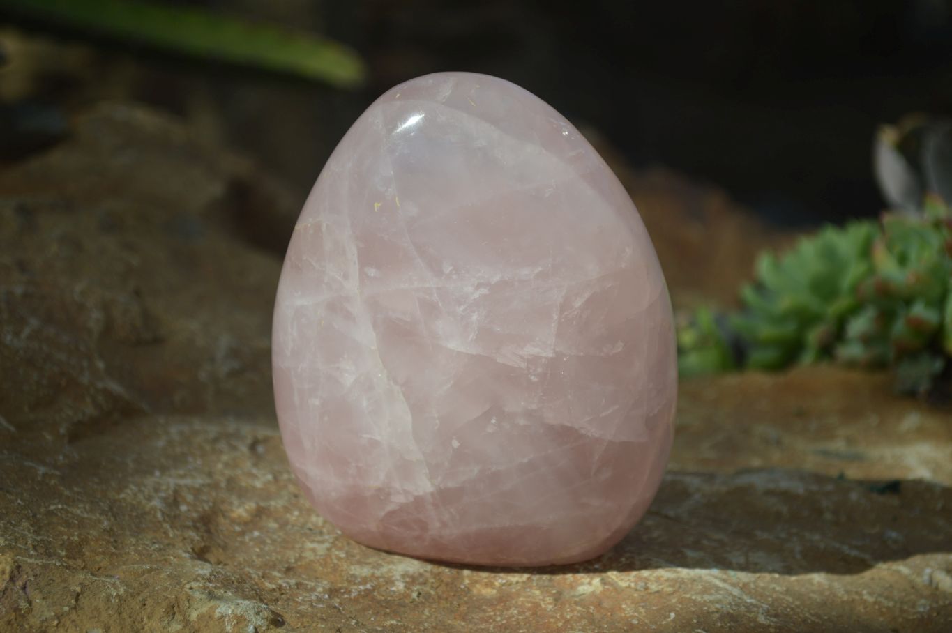Polished Pink Rose Quartz Standing Free Forms x 2 From Antsirabe, Madagascar - Toprock Gemstones and Minerals 