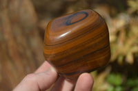Polished Golden Tigers Eye Free Forms x 6 From Prieska, South Africa - Toprock Gemstones and Minerals 