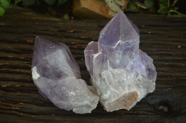 Natural Jacaranda Amethyst Clusters  x 2 From Zambia