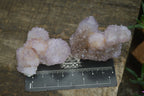 Natural Small Spirit Amethyst Quartz Specimens  x 12 From Boekenhouthoek, South Africa - Toprock Gemstones and Minerals 