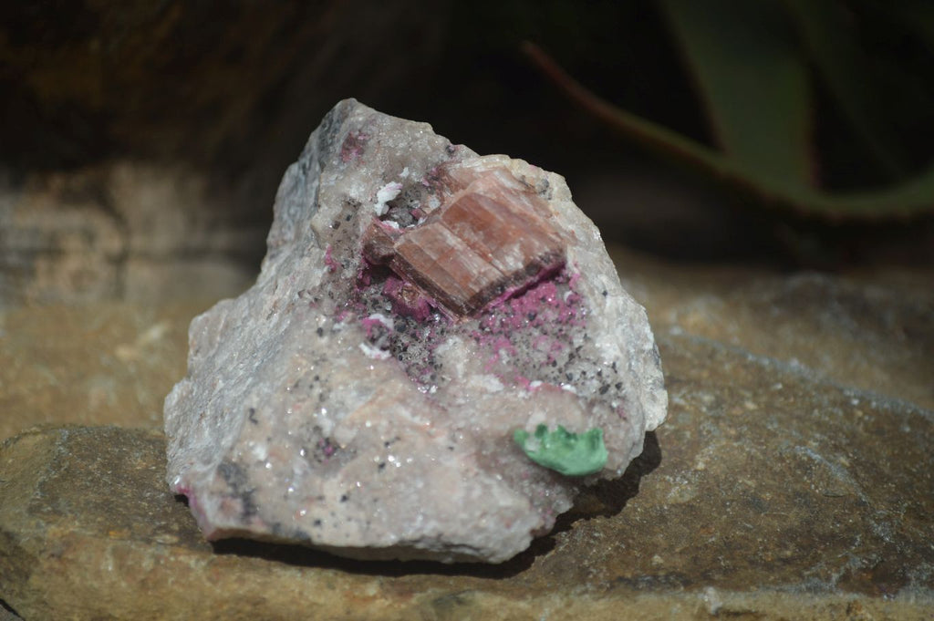 Natural Pink Salrose Cobaltion Dolomite Specimens  x 6 From Kakanda, Congo - Toprock Gemstones and Minerals 