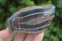 Polished Banded River Agate Nodules  x 6 From Sashe River, Zimbabwe - Toprock Gemstones and Minerals 