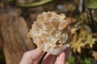 Natural Limonite Quartz Clusters x 6 From Solwezi, Zambia - Toprock Gemstones and Minerals 