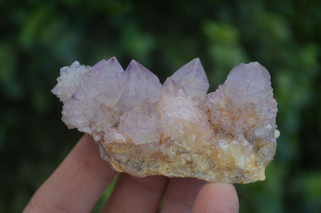Natural Small Spirit Amethyst Quartz Specimens  x 12 From Boekenhouthoek, South Africa - Toprock Gemstones and Minerals 