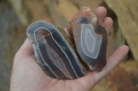 Polished Banded River Agate Nodules  x 6 From Sashe River, Zimbabwe - Toprock Gemstones and Minerals 