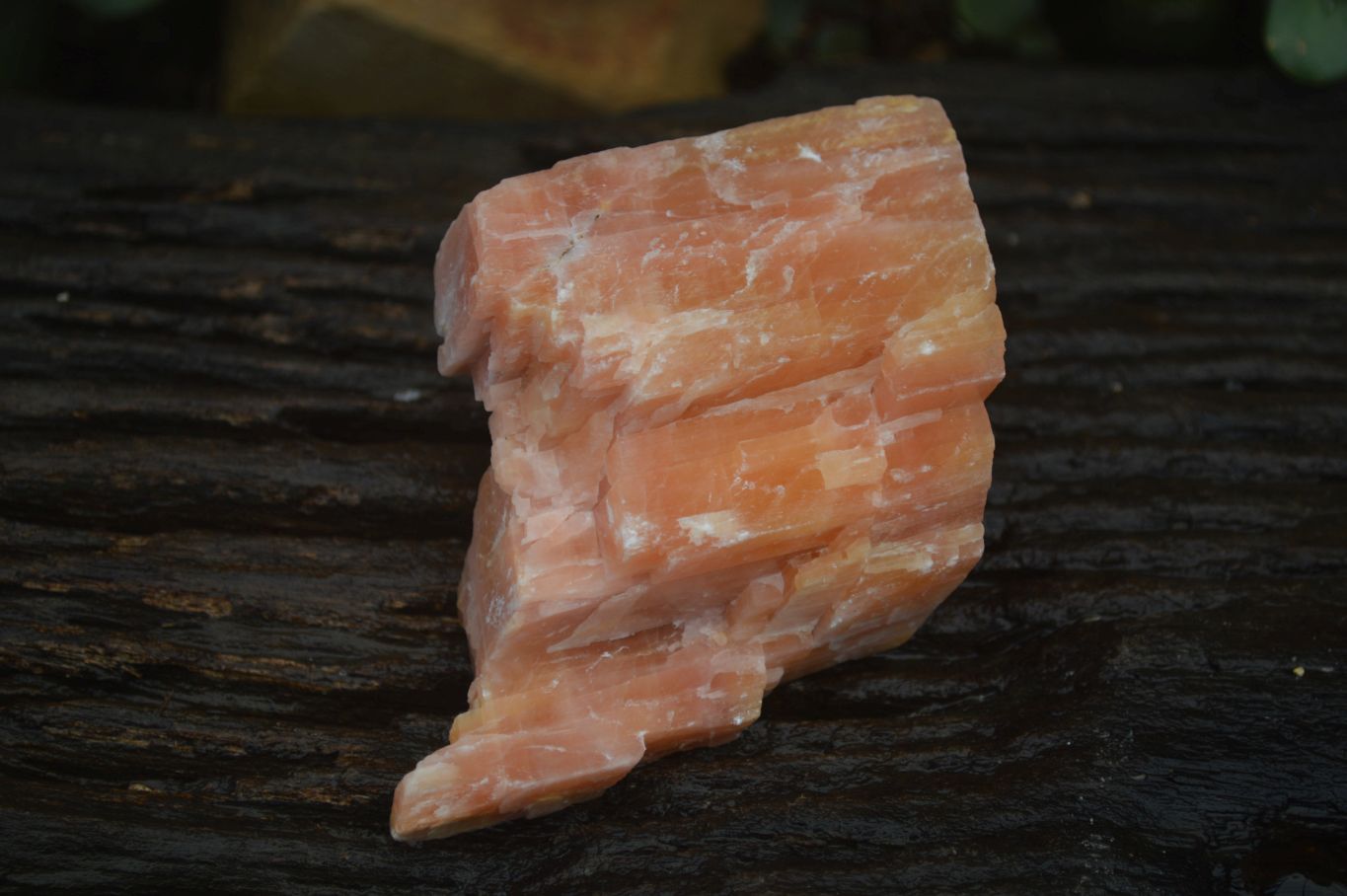 Natural New Sunset Orange Calcite Specimens x 12 From Spitzkop, Namibia - Toprock Gemstones and Minerals 