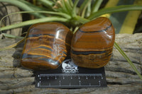 Polished Golden Tigers Eye Free Forms x 6 From Prieska, South Africa - Toprock Gemstones and Minerals 