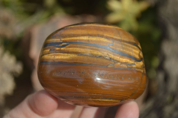 Polished Golden Tigers Eye Free Forms x 6 From Prieska, South Africa
