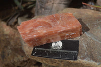 Natural New Sunset Orange Calcite Specimens  x 3 From Spitzkop, Namibia - Toprock Gemstones and Minerals 
