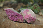 Natural Pink Salrose Cobaltion Dolomite Specimens  x 6 From Kakanda, Congo - Toprock Gemstones and Minerals 