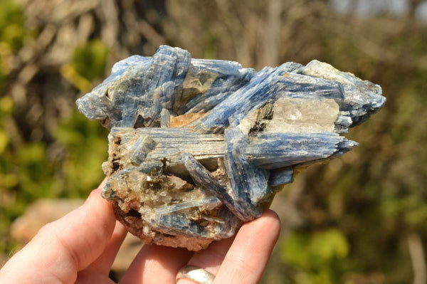 Natural Blue Kyanite Crystals In Schist Specimens  x 6 From Karoi, Zimbabwe - TopRock