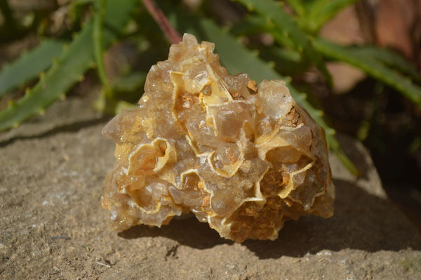 Natural Limonite Quartz Clusters x 6 From Solwezi, Zambia - Toprock Gemstones and Minerals 