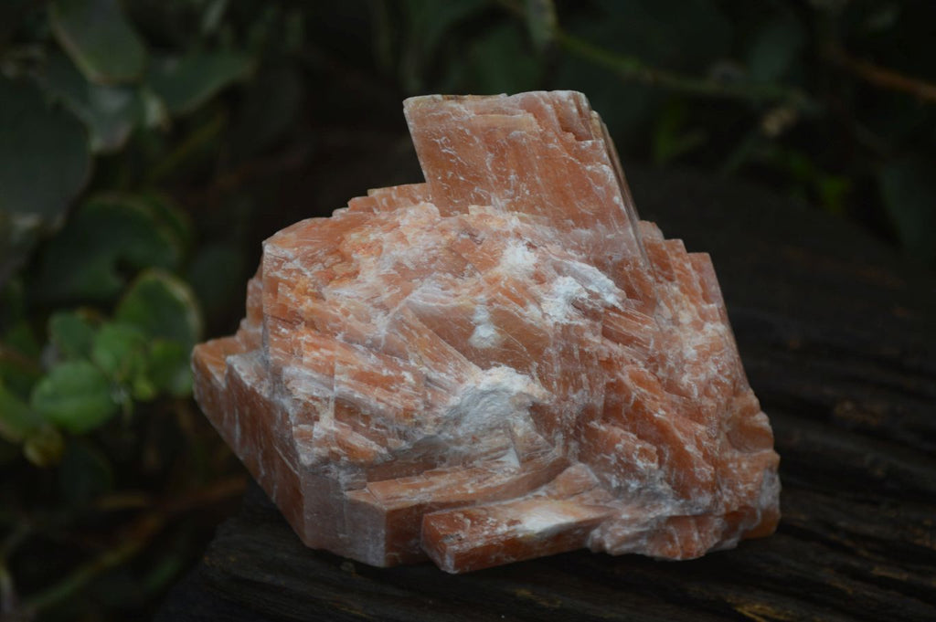 Natural New Sunset Orange Calcite Specimens x 12 From Spitzkop, Namibia - Toprock Gemstones and Minerals 