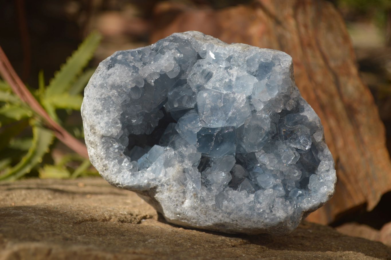 Natural Blue Celestite Crystal Specimens  x 2 From Sakoany, Madagascar - Toprock Gemstones and Minerals 