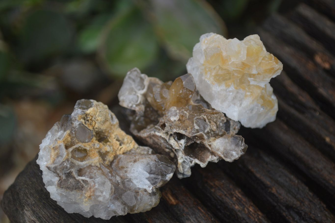 Natural Mini Golden Limonite / Lemonite Quartz Specimens  x 70 From Zambia - Toprock Gemstones and Minerals 