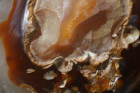 Polished Extra Large Carnelian Crystal Centred Display Piece  x 1 From Madagascar - Toprock Gemstones and Minerals 
