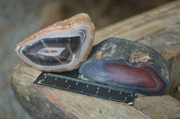Polished Banded River Agate Nodules  x 6 From Sashe River, Zimbabwe - Toprock Gemstones and Minerals 