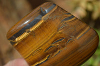 Polished Golden Tigers Eye Free Forms x 6 From Prieska, South Africa - Toprock Gemstones and Minerals 