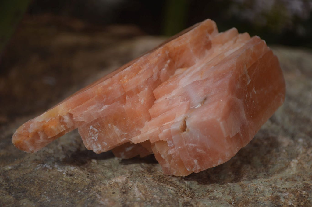 Natural New Sunset Orange Calcite Specimens x 12 From Spitzkop, Namibia - Toprock Gemstones and Minerals 
