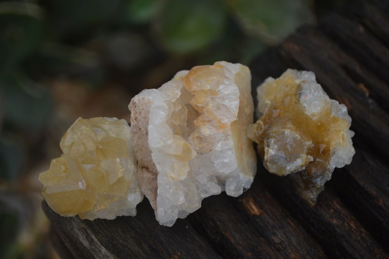 Natural Mini Golden Limonite / Lemonite Quartz Specimens  x 70 From Zambia - Toprock Gemstones and Minerals 