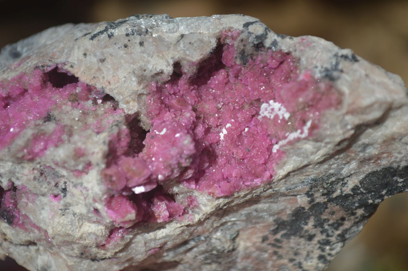 Natural Pink Salrose Cobaltion Dolomite Specimens  x 6 From Kakanda, Congo - Toprock Gemstones and Minerals 