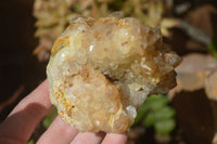 Natural Limonite Quartz Clusters x 6 From Solwezi, Zambia - Toprock Gemstones and Minerals 