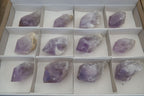 Natural Single Jacaranda Amethyst Crystals x 12 From Mumbwe, Zambia - Toprock Gemstones and Minerals 