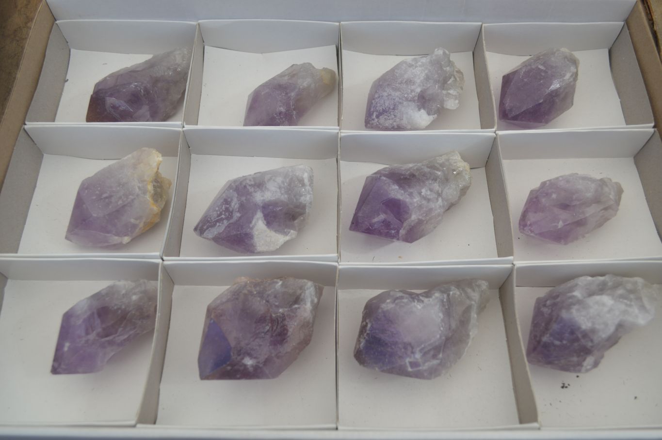 Natural Single Jacaranda Amethyst Crystals x 12 From Mumbwe, Zambia - Toprock Gemstones and Minerals 