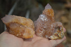 Natural Mixed Spirit Quartz Specimens  x 6 From Boekenhouthoek, South Africa - Toprock Gemstones and Minerals 